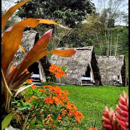 Bed and Breakfast Rancho Porvenir Mocoa Esterno foto