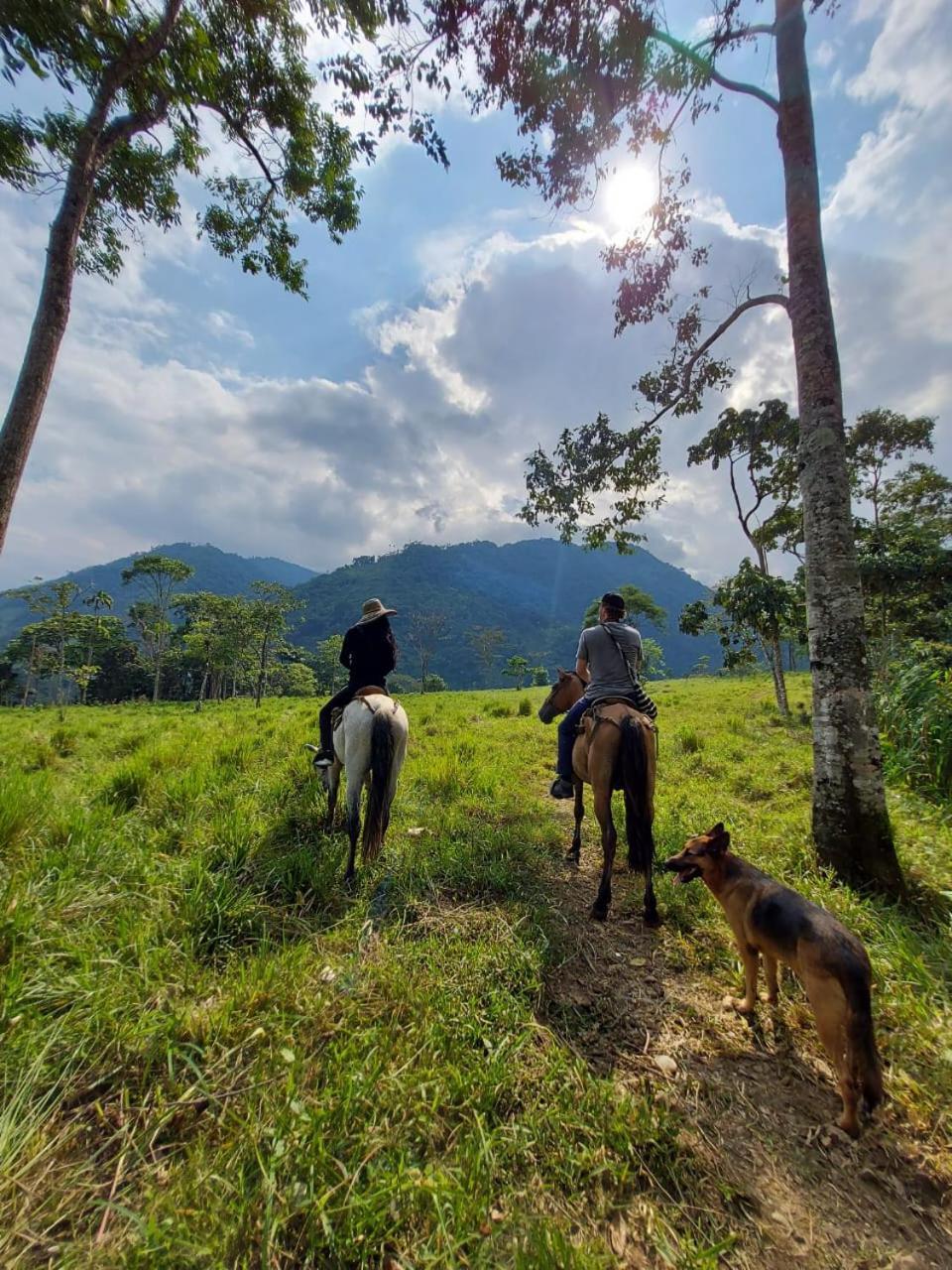 Bed and Breakfast Rancho Porvenir Mocoa Esterno foto